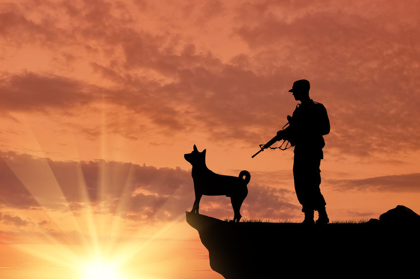 45867661 - silhouette of soldiers with weapons and dogs on the top at sunset