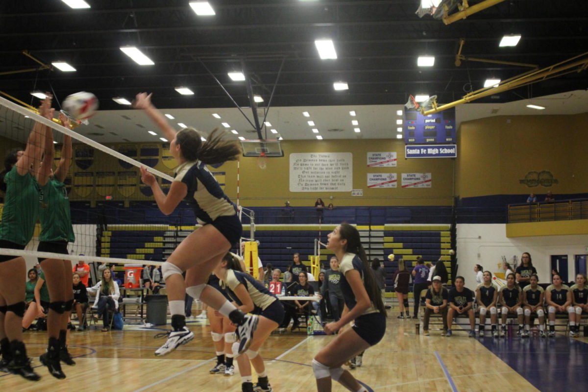 Demonette Volleyball On The Rise