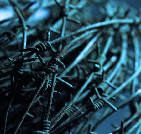 32138463 - close up of a twisted barb wire