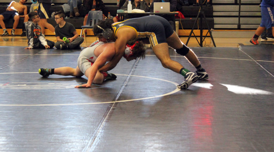 Demon Wrestling Heads To Districts
