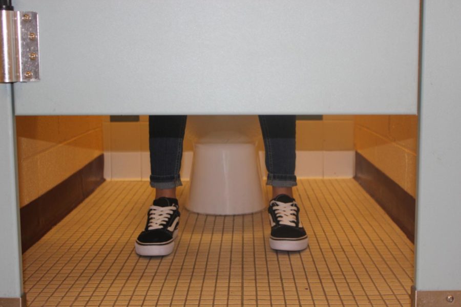 School Bathrooms: Which Are the Cleanest, and Where Are The Problems?