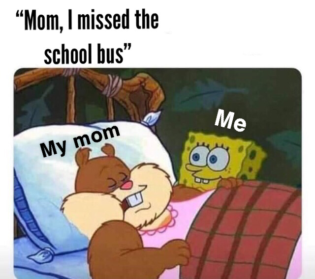 Missed The Bus