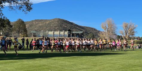 Girls XC Places at State: A Look Inside the Sport — and the Runners
