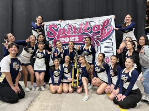 Demon Cheer Takes First in Spirit of Hope