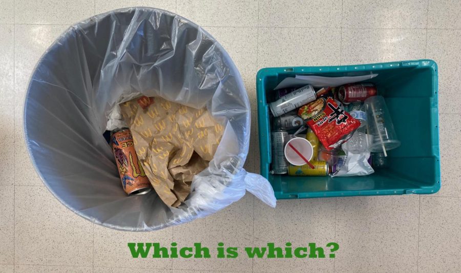 Recycling at SFHS: Is It Happening? 