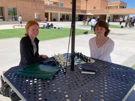 Stupid Chess at Lunch