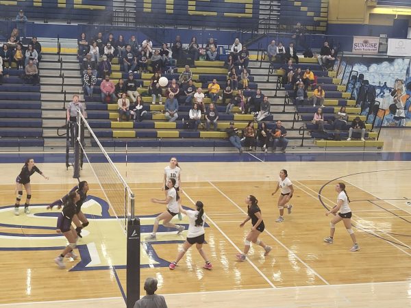 Demon Volleyball, 14-7, Closes in on State