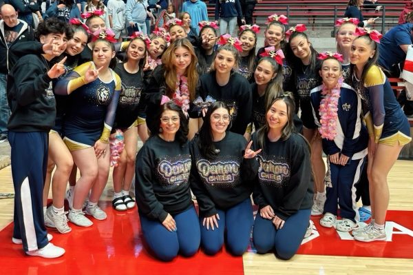 Demons Place 12th in State Cheer Competition